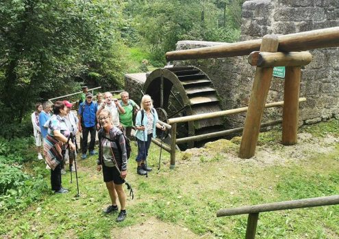 23-10-muehlbachschlucht092geschn900